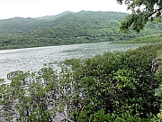 P6100006.JPG (345867 bytes)