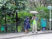 P6170003.JPG (359045 bytes)