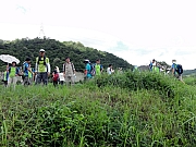 P7010016.JPG (267866 bytes)