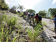 P7080062.JPG (373198 bytes)