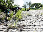 P7080063.JPG (404762 bytes)