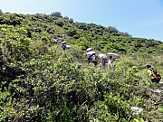 P7080077.JPG (399290 bytes)