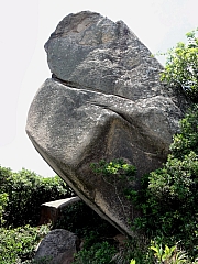 P7080110.JPG (297067 bytes)