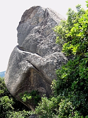 P7080111.JPG (343295 bytes)