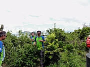 P7080118.JPG (237339 bytes)