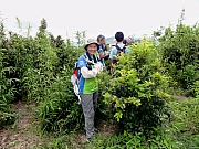 P7080120.JPG (322772 bytes)