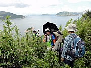 P7080121.JPG (268923 bytes)