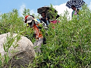 P7080133.JPG (358497 bytes)