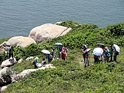 P7080138.JPG (375538 bytes)