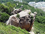 P7080141.JPG (399458 bytes)