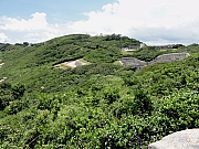 P7080146.JPG (342085 bytes)