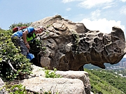 P7080155.JPG (284716 bytes)