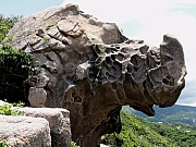 P7080160.JPG (279860 bytes)