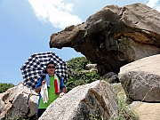 P7080161.JPG (265493 bytes)