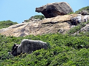 P7080167.JPG (358461 bytes)