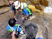 P7080188.JPG (293027 bytes)