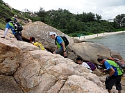 P7080197.JPG (280767 bytes)