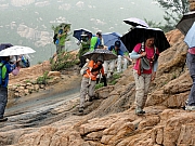 P7080205.JPG (280497 bytes)