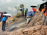 P7080206.JPG (267242 bytes)