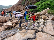 P7080214.JPG (321055 bytes)