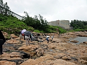 P7080216.JPG (251713 bytes)