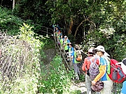 P7150026.JPG (402035 bytes)