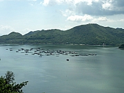 P7150030.JPG (125096 bytes)