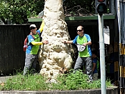 P7150039.JPG (276806 bytes)