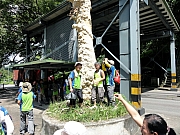 P7150044.JPG (292409 bytes)