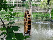 P7150045.JPG (310638 bytes)