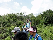P7150083.JPG (274937 bytes)