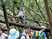 P8120021.JPG (335480 bytes)