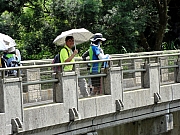 P8190053.JPG (307758 bytes)