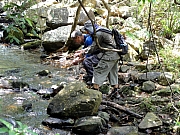 P8190074.JPG (334297 bytes)