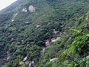 P8260011.JPG (372387 bytes)
