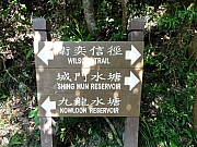P9160006.JPG (326001 bytes)