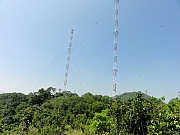 P9160026.JPG (184852 bytes)
