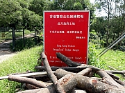 P9160054.JPG (360412 bytes)
