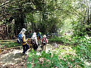 P9160092.JPG (430306 bytes)