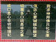 P9160094.JPG (285080 bytes)