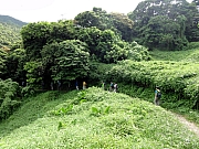 P9230009.JPG (363713 bytes)
