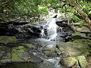 P9230014.JPG (346115 bytes)