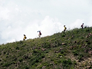 P9230043.JPG (203684 bytes)
