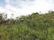 P9230046.JPG (292450 bytes)