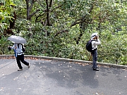 P9300005.JPG (370514 bytes)