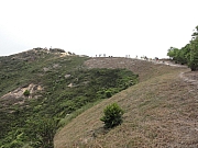 P9300089.JPG (192247 bytes)