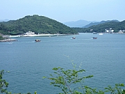 PA070111.JPG (158384 bytes)