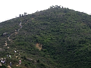 PA210013.JPG (192645 bytes)