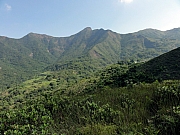 PA210051.JPG (240628 bytes)