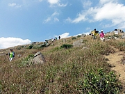 PA210101.JPG (285721 bytes)